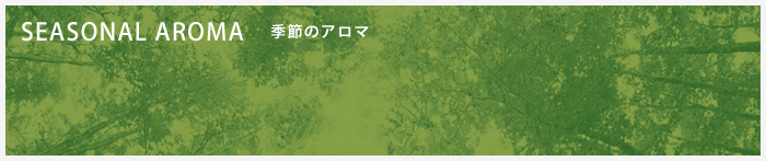 SEASONAL AROMA  季節のアロマ