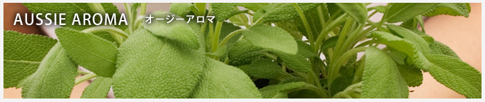 AUSSIE AROMA オージー・アロマ